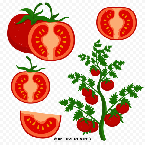 freeuse cherry tomatogrow tomatoes Background-less PNGs