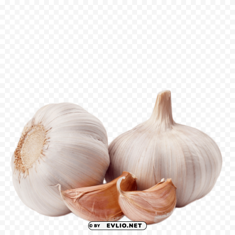 garlic Transparent PNG Graphic with Isolated Object
