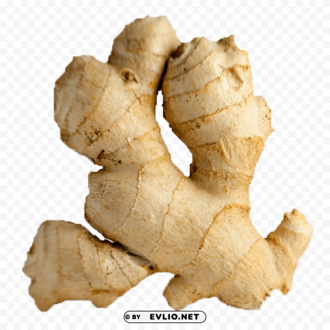 ginger PNG Image Isolated with Transparent Clarity