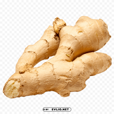 ginger Transparent Cutout PNG Graphic Isolation