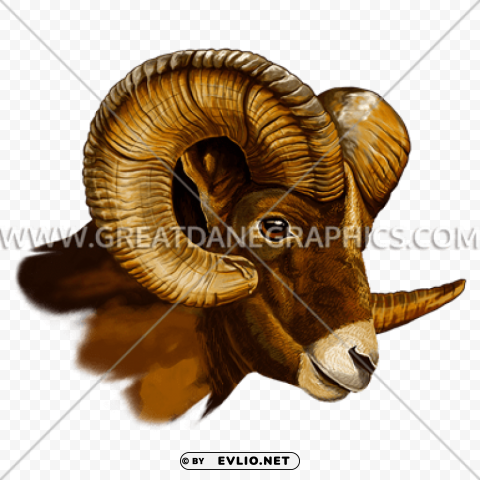 goat head side view Transparent background PNG images comprehensive collection