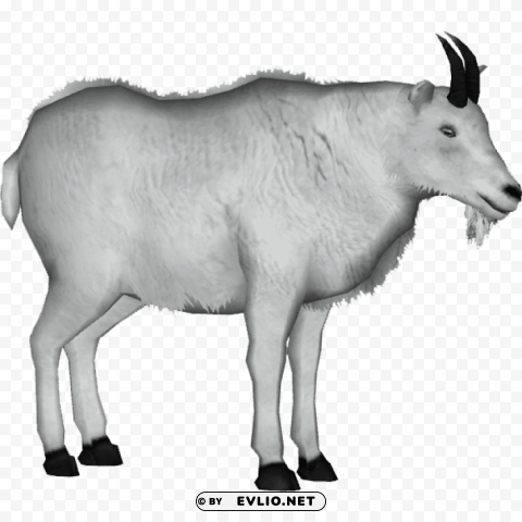 goat Transparent PNG images extensive variety