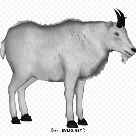 goat Transparent PNG images extensive variety png images background - Image ID 52efc64d