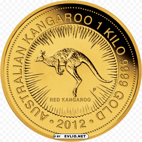 gold coin kangaroo Transparent PNG Illustration with Isolation