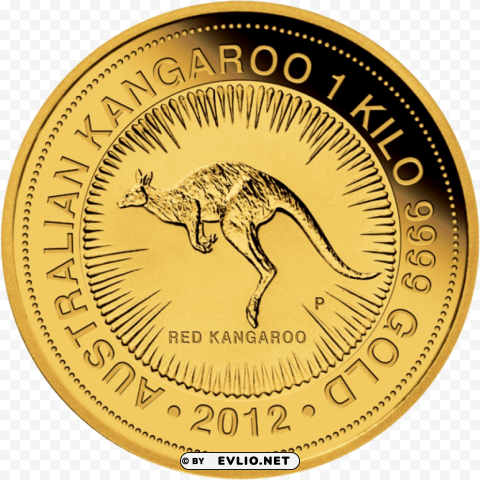 Gold Coin Kangaroo Transparent PNG Illustration With Isolation