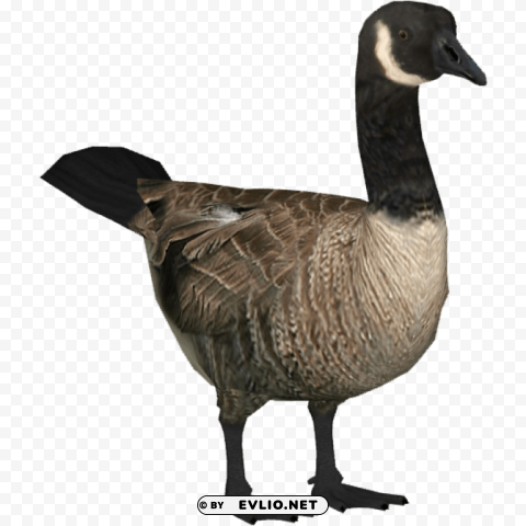 goose Isolated Artwork in Transparent PNG Format