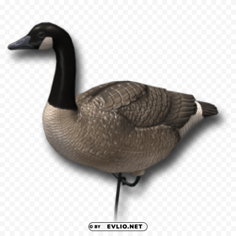 goose Isolated Artwork on HighQuality Transparent PNG