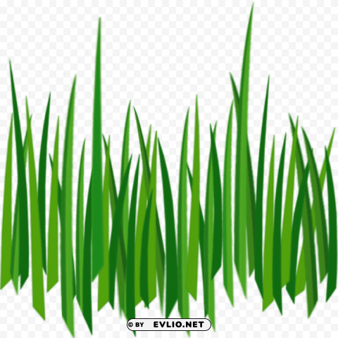 grass Isolated Artwork on Clear Transparent PNG