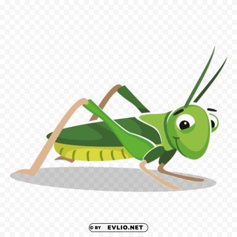 grasshopper ClearCut Background Isolated PNG Design