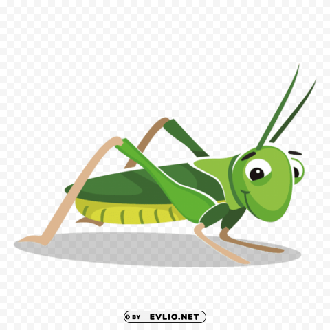 Grasshopper ClearCut Background Isolated PNG Design