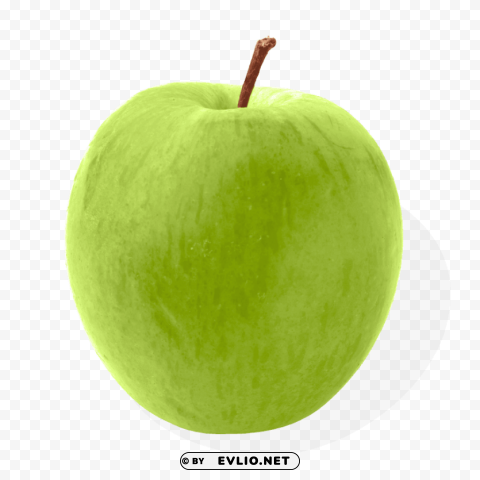 Green Apple PNG Transparent Images For Social Media