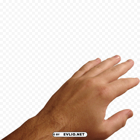Hands Clear PNG