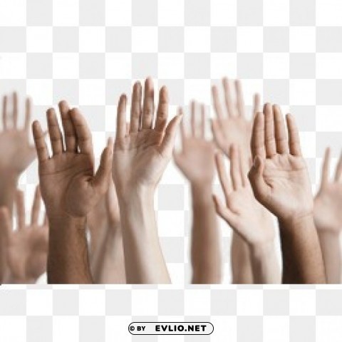 Transparent background PNG image of hands Transparent background PNG clipart - Image ID e767cfa1