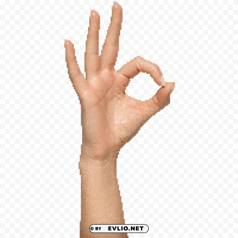 hands handp Transparent Background Isolated PNG Character