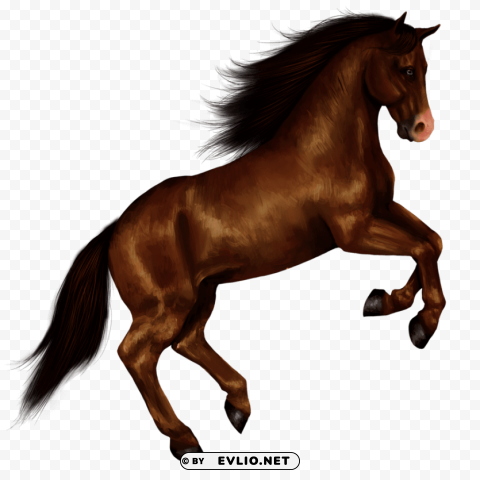 horse right jump PNG transparent graphics comprehensive assortment