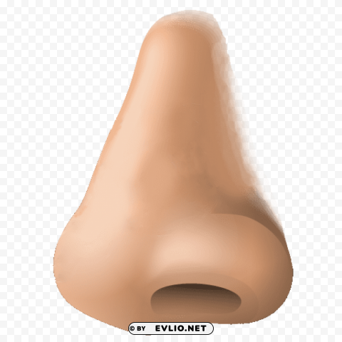 human nose PNG no background free