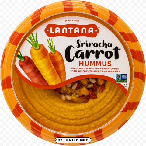 hummus Isolated Design Element in HighQuality Transparent PNG