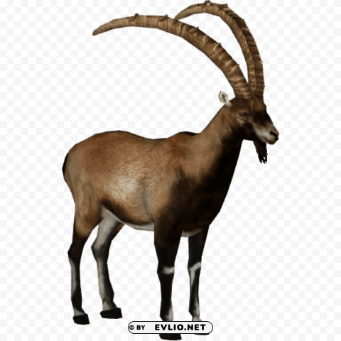 ibex brown PNG design png images background - Image ID 8215a65d