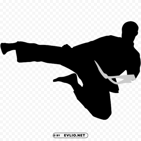 karate silhouette PNG Image with Isolated Artwork