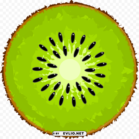 kiwi slice PNG transparency png - Free PNG Images ID df0a3308