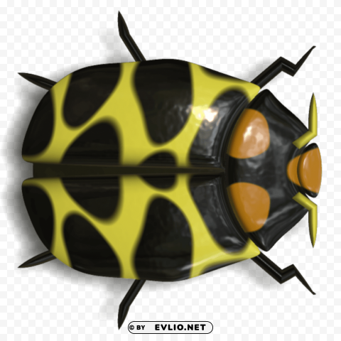 Ladybug Black And Yellow Isolated PNG Image With Transparent Background