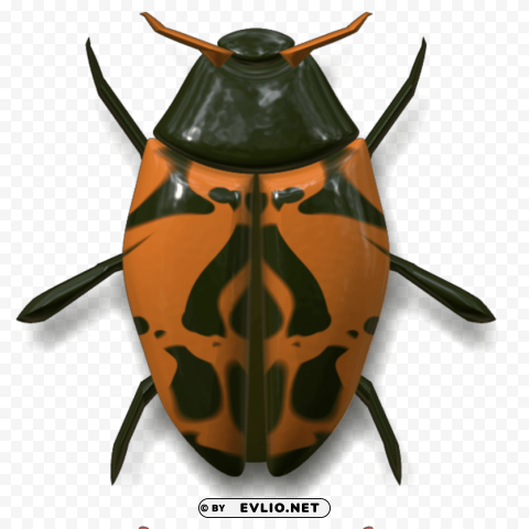 ladybug dark green and orange Isolated Design Element in HighQuality PNG