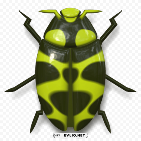 ladybug dark green and yellow PNG graphics with clear alpha channel