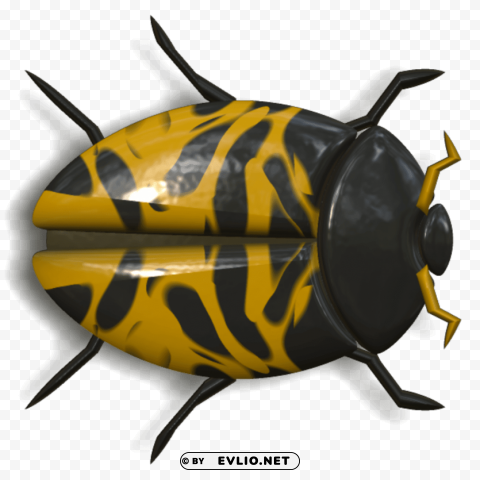 ladybug orange and black head to right PNG Image Isolated with Clear Transparency