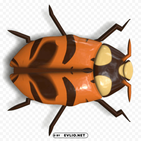 ladybug orange and brown PNG for personal use