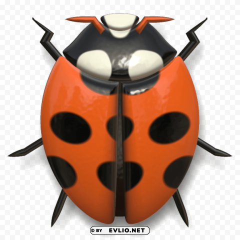 ladybug red and black head up PNG for mobile apps