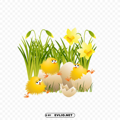 large easter chicks Transparent PNG images complete library