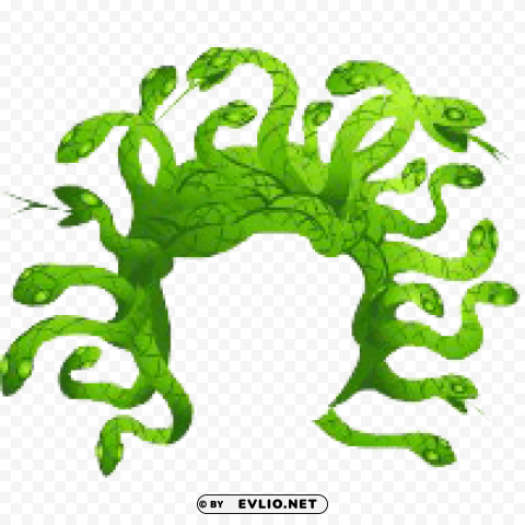 legends-medusa-hair-green Isolated Design Element in PNG Format