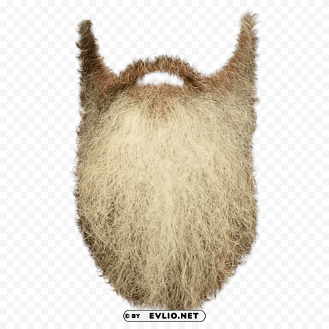 long beard PNG images with clear backgrounds