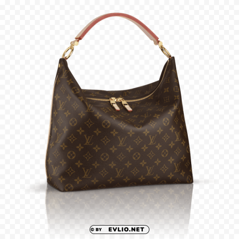 louis vuitton women bag PNG file with no watermark