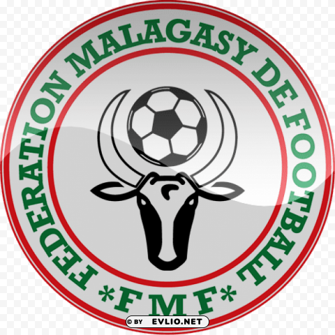 madagascar football logo PNG images with alpha transparency wide selection