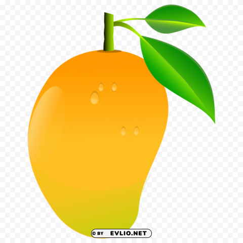 mango Isolated Element on HighQuality PNG