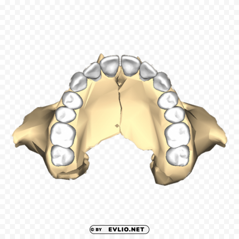 Transparent background PNG image of maxilla inferior PNG pics with alpha channel - Image ID fc814aba