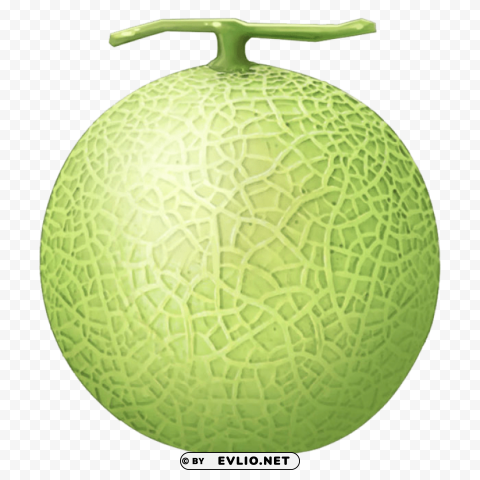 melon PNG images with high transparency