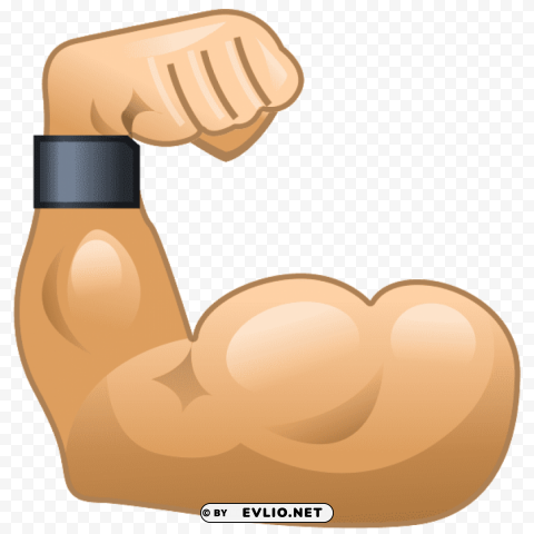 muscle PNG transparent photos for presentations