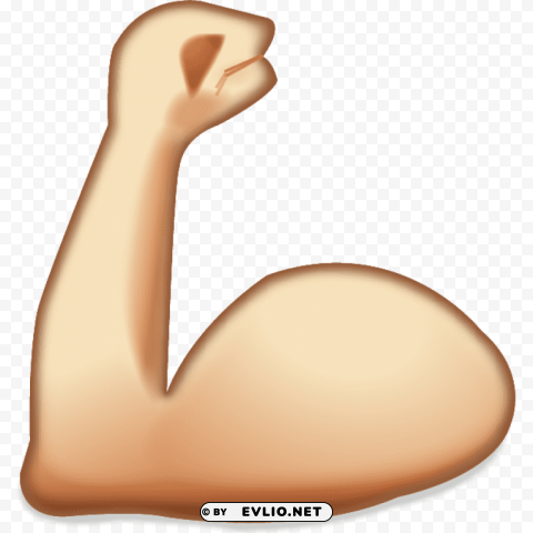 muscle PNG transparent photos library