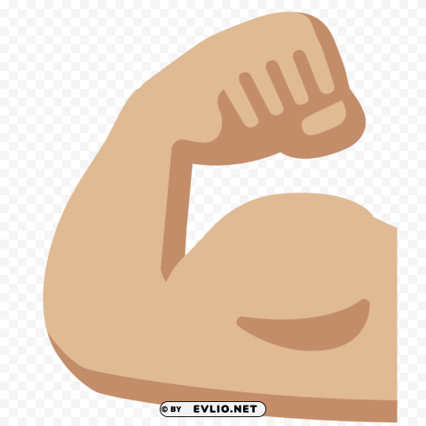 muscle PNG transparent photos massive collection