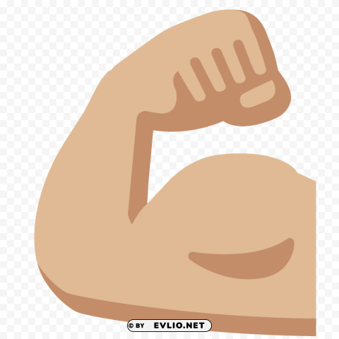 Muscle PNG Transparent Photos Massive Collection