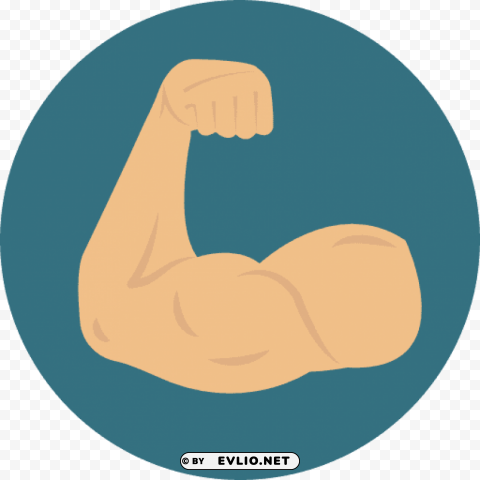 muscle PNG transparent photos vast variety