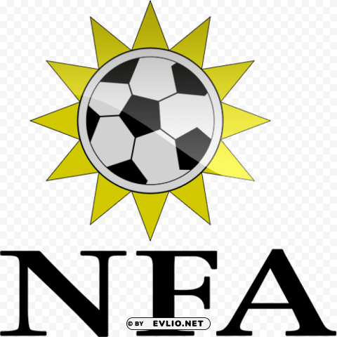 namibia football logo Clear background PNG elements
