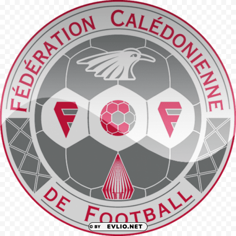 new caledonia football logo Isolated Graphic on HighResolution Transparent PNG