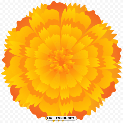PNG image of orange flower PNG clear background with a clear background - Image ID 78933e72
