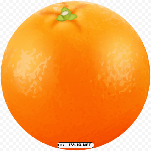 orange fruit PNG images with clear alpha layer