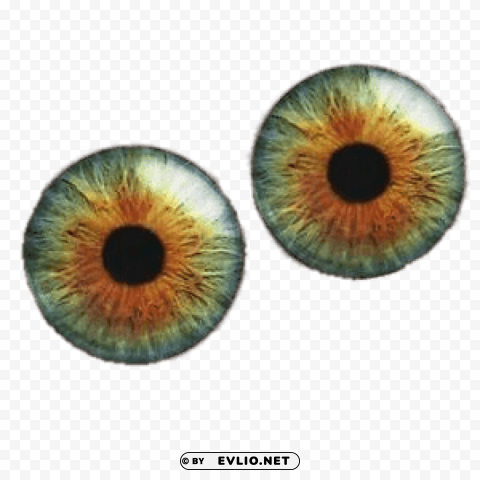Transparent background PNG image of pair of colourful eyeballs Transparent pics - Image ID 4ff52678