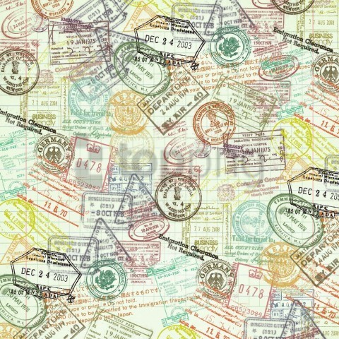 passport texture PNG Graphic Isolated on Clear Background Detail