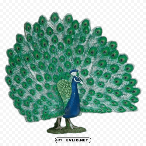 peacock with open tail figurine PNG images with transparent canvas variety